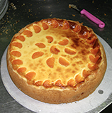 Käsekuchen mit Mandarine